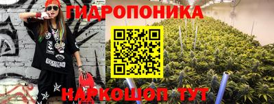 Альфа ПВП Кингисепп