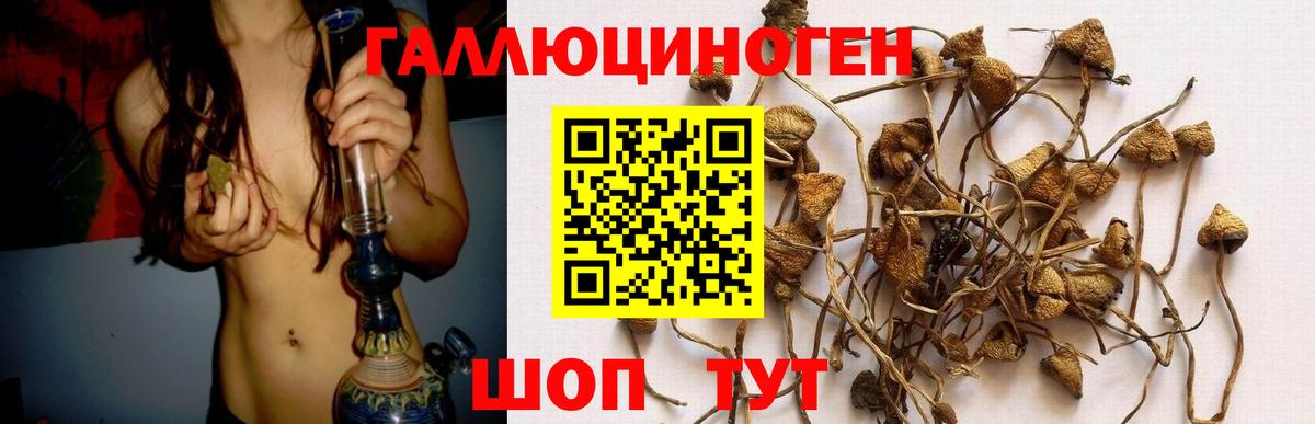 Галлюциногенные грибы мухоморы  Вход с VPN  Кстово 